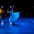 Flamenco Festivals: A Guide to the Best Events Around the World