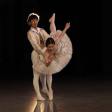 Tango for Intermediate Dancers: Mastering the Art of Connection