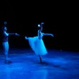 Get Ready to Tango: A Guide to Choosing the Right Dance Shoes