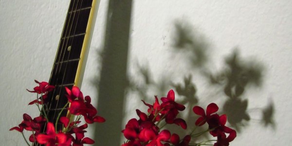 # The Ballroom's Heartbeat Returns: Why Flinders Street's Revival Matters