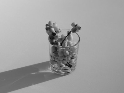 Finding Your Folk Rhythm: A Guide to Dance Schools in Lisbon, Louisiana