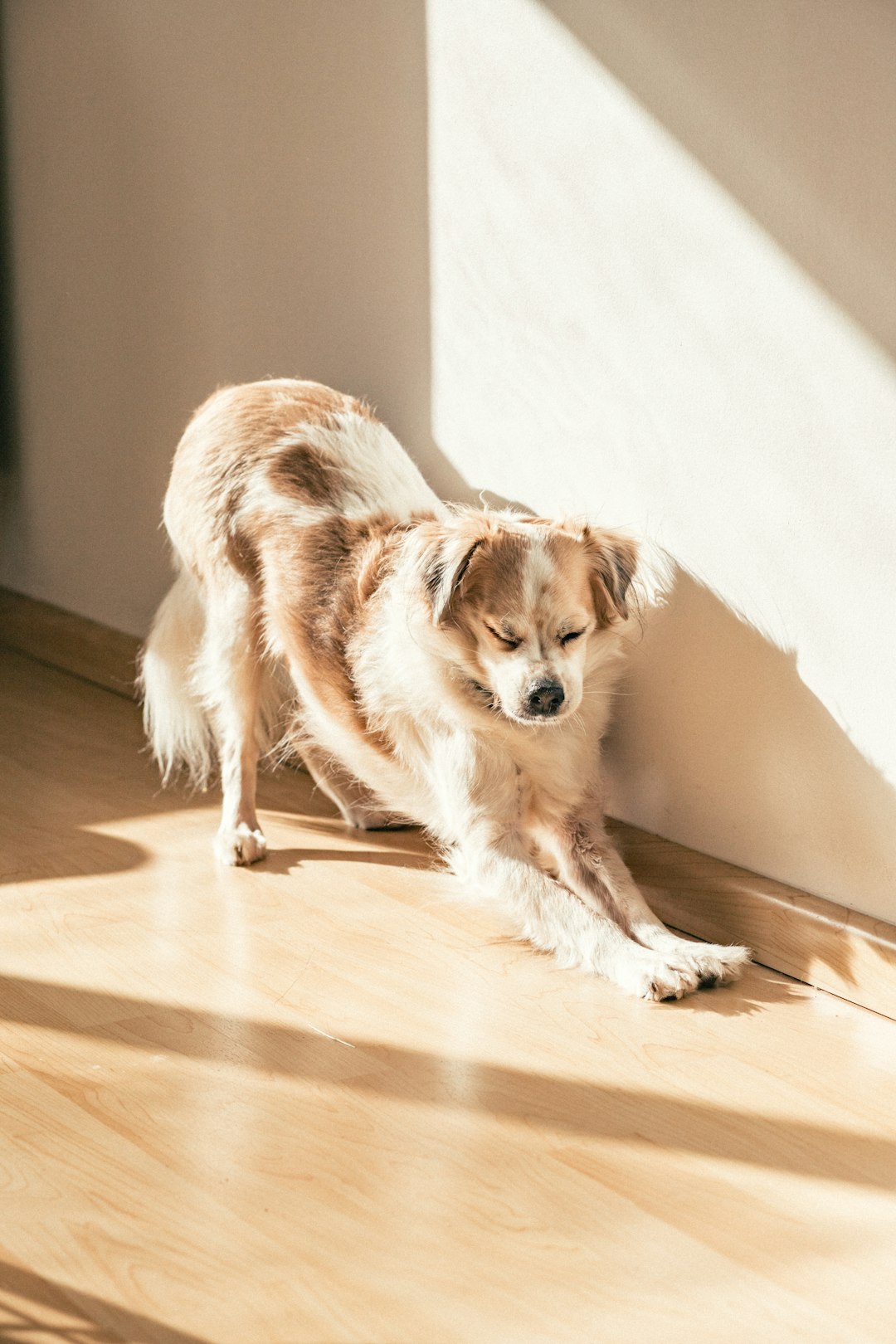 Summer Lindy Hop Survival Guide: How to Dance Hard and Stay Cool All Season