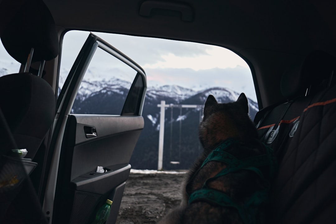 **"Salsa for Beginners: Your Step-by-Step Guide to Mastering the Basics"**