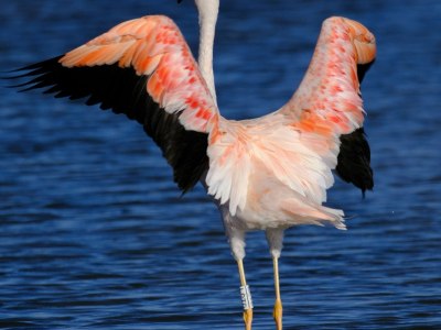 **Krump Attitude: Choosing Clothes That Amplify Your Power**