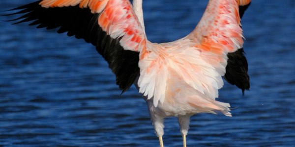 **Krump Attitude: Choosing Clothes That Amplify Your Power**