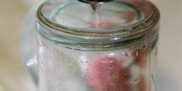 Discover Rose Bud's Rhythm: Top Folk Dance Training Hubs in Arkansas