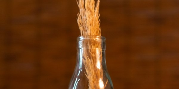 **When the Circus Doesn't Just Come to Town—It Soars from It**