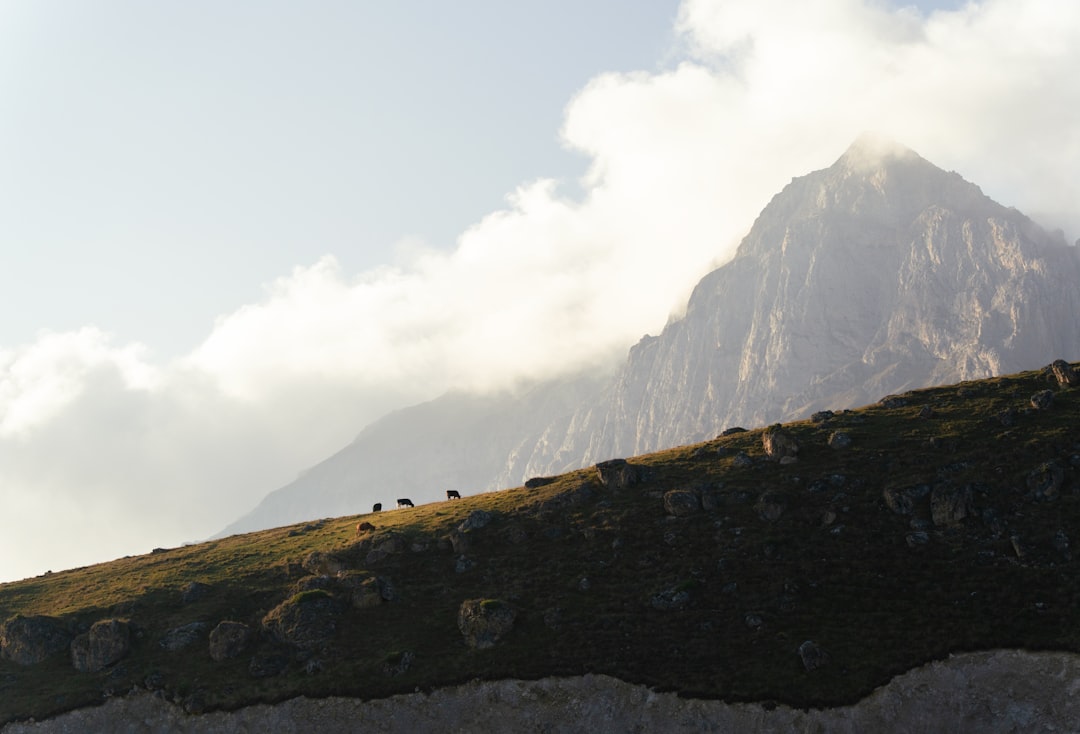 The Hidden Dance Halls of Mountain Lakes: Where Ireland's Old Steps Find New Feet