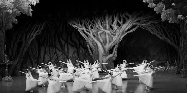 Navigating the World of Flamenco Dance Shoes: What Every Dancer Needs to Know