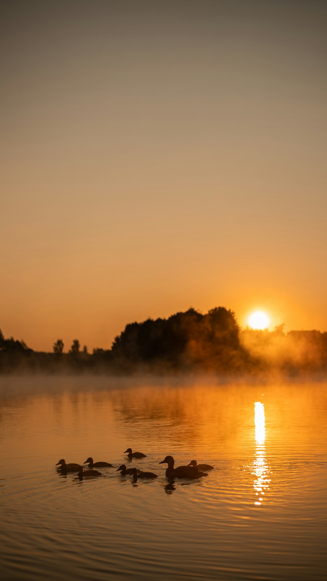 Why Mountain Lakes Has Become a Zumba Hotspot (And Where to Try Your First Class)