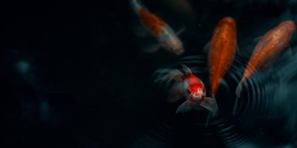 5 Key Factors for Choosing Dancewear That Moves With You