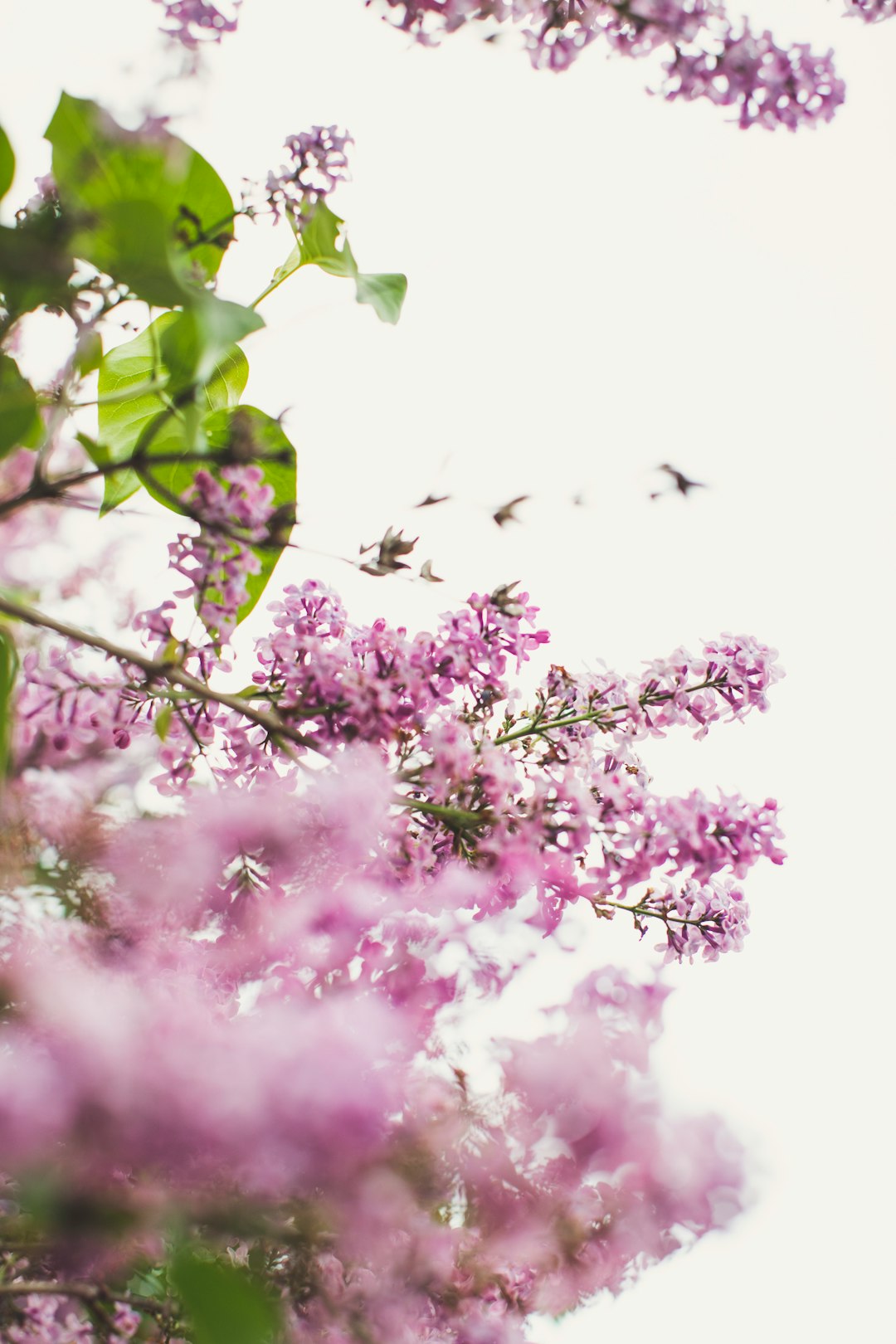 Ballet Training in Dover, Delaware: A Practical Guide for Dancers and Families