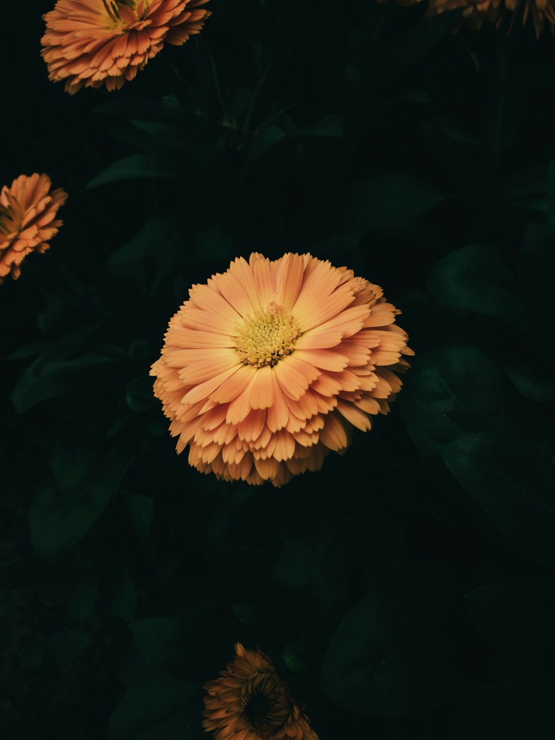 **"Where to Learn Latin Dance in Spring Valley, Nevada – Expert Picks"**