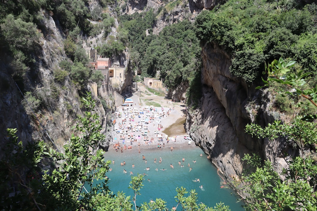 "Flamenco Fusion: Blending Tradition with Modern Rhythms"
