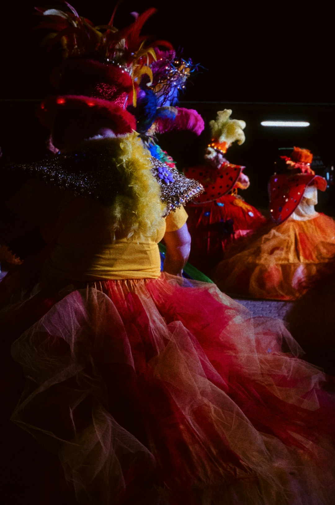 When the Swans Come to Dublin: A Russian Star Brings Ballet's Greatest Love Story to Irish Soil