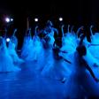 **Top Latin Dance Training Centers in Walker City, Louisiana**