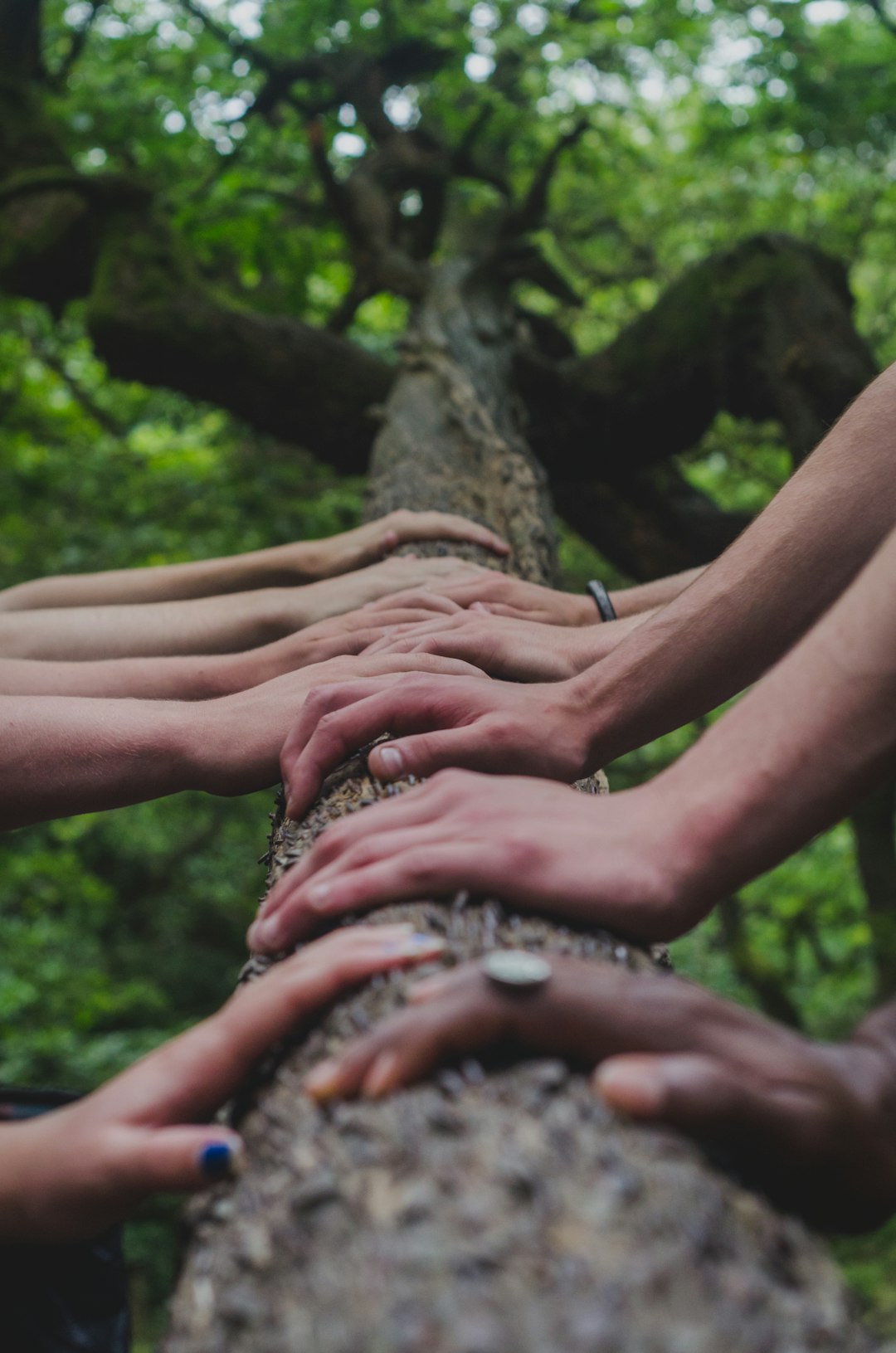From Mainstream to Plus (and Beyond): 6 Real Strategies for Intermediate Square Dance Success