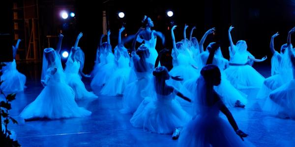 Flamenco Frenzy: The Top 5 Dance Styles to Spice Up Your Life - Discover the passion and energy of Flamenco dance and le...