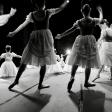 From Novice to Pro: How to Start Your Flamenco Dance Journey Today