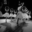 From Novice to Pro: A Step-by-Step Guide to Becoming a Flamenco Dancer