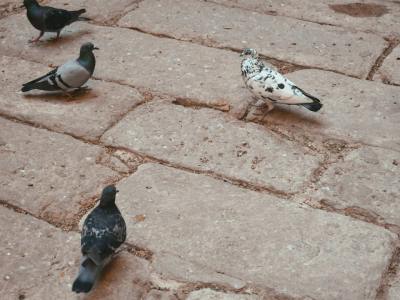 Find Your Groove: Top Hip Hop Dance Studios in New Haven, Ohio