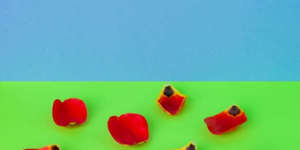 From Barre to Stage: Mapping Coolidge's Ballet Training Landscape