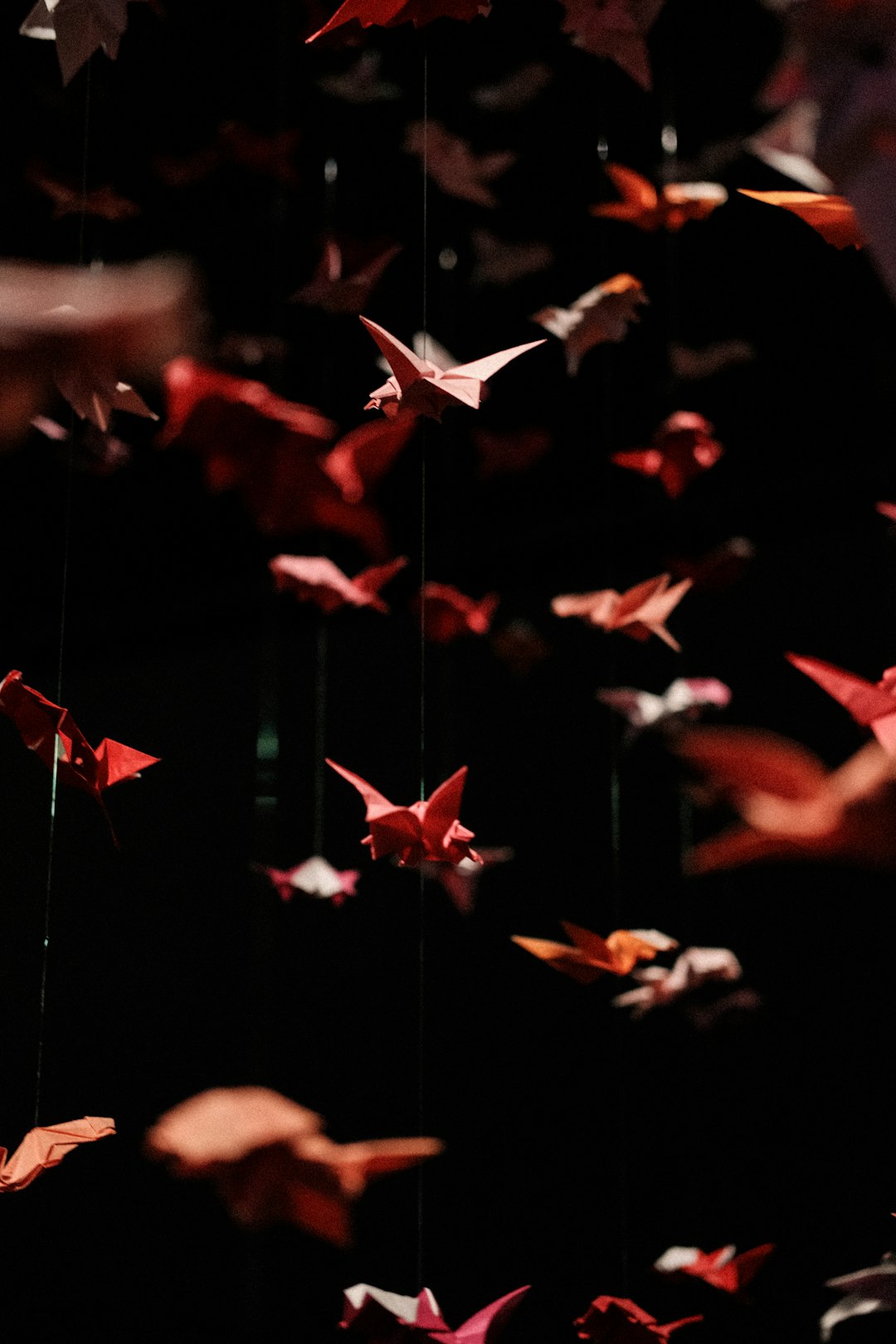Crystal Pite's "The Seasons' Canon" Opens Boston Ballet's Boldest Season Yet