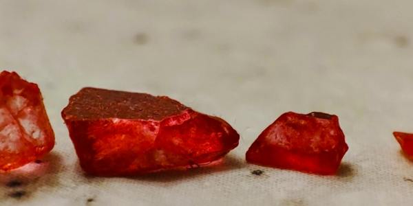 **Lion Dance in the Mall: A Symptom of a Bigger Cultural Mismatch?**