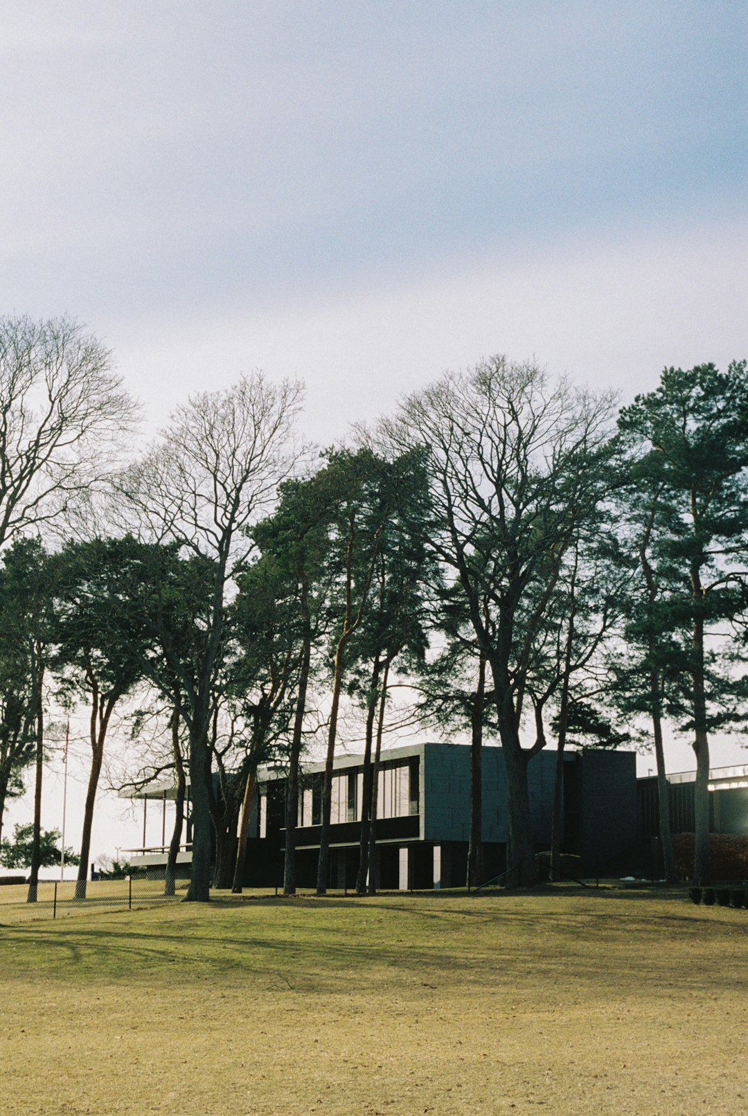"Finding Your Dance Home in Western Springs: A Local's Guide to the Studios That Shape Artists"