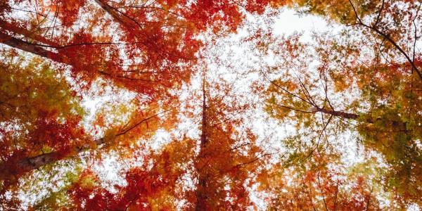 **TAP FACTORY IS COMING TO IPSWICH – AND IT’S ABOUT TO SHAKE UP THE SCENE**