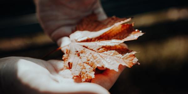 From Social Dancer to Pro: Your First Steps into the Competitive Ballroom World