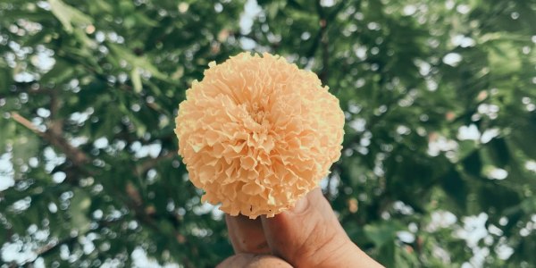 Stepping into Community: Finding Your Square Dance Family in Dunnell City