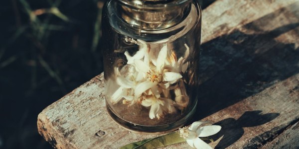 ### The Art of Listening: How One Teacher’s Journey from Lewistown to Nashville Redefines Dance Education