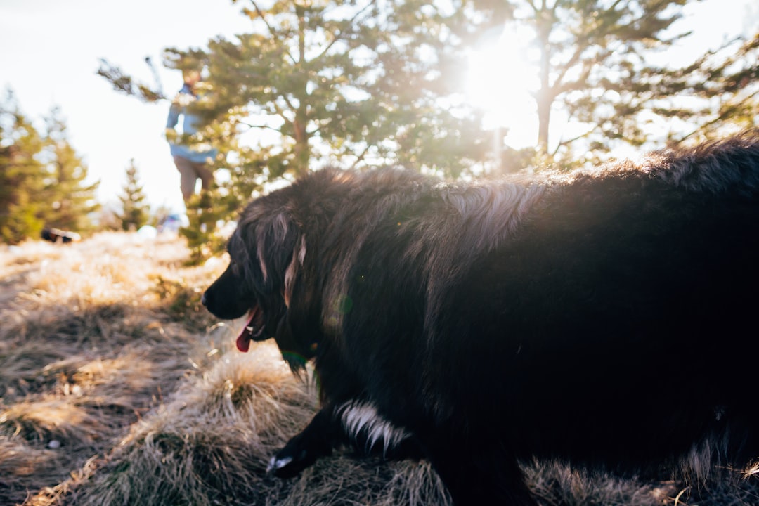 Where Petersburg City's Breakdancers Actually Learn to Battle (And Why It Matters)