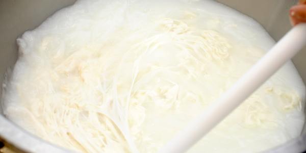 # The Art of the Lion Dance: More Than Just a Performance