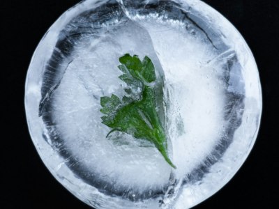 Find Your Rhythm: Top Latin Dance Studios in Belfair, Washington