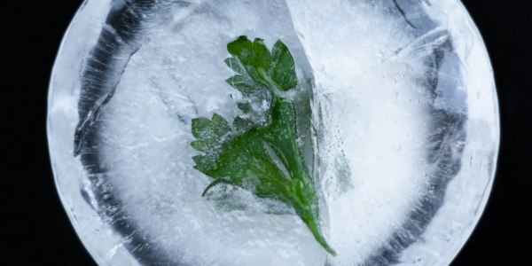 Find Your Rhythm: Top Latin Dance Studios in Belfair, Washington