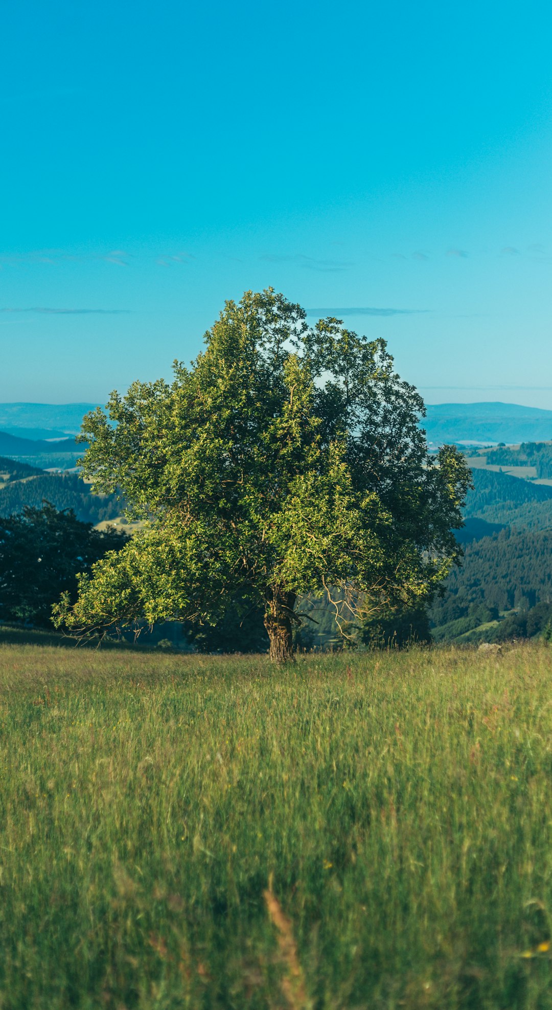The Rut No One Warns You About (And How to Break Out of It)