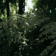 **Zoï Tatopoulos: Redefining Commercial Choreography with 