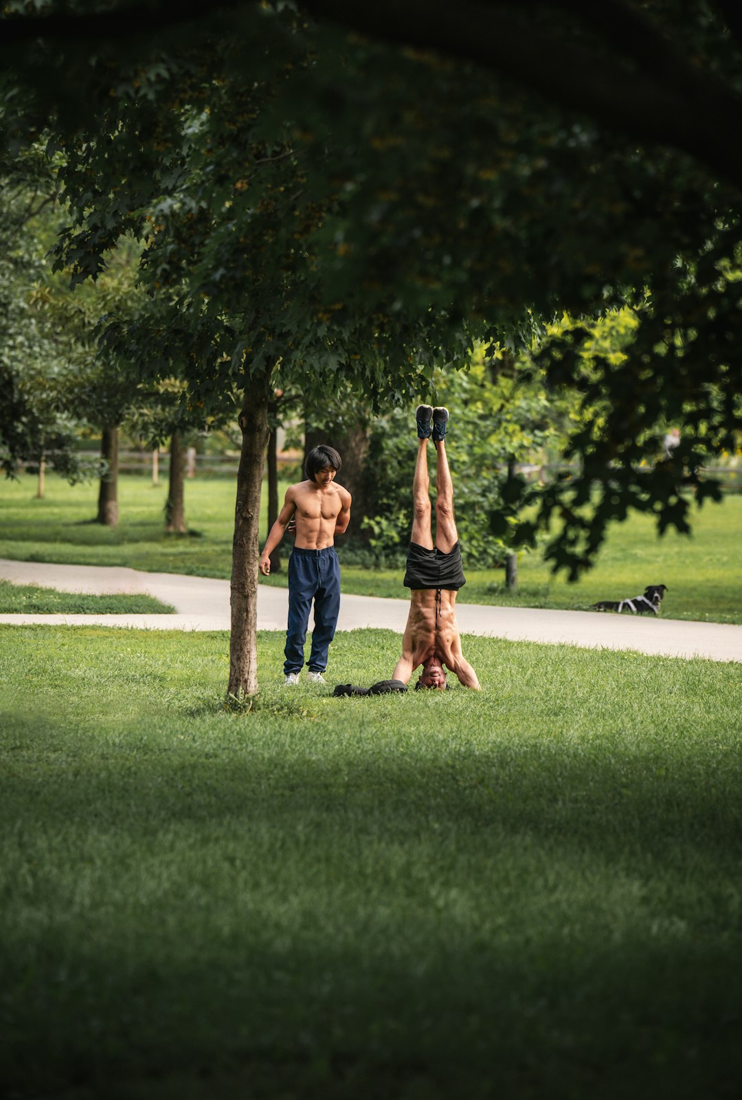 How Square Dancing Survived the 21st Century: From Barn Raising to TikTok