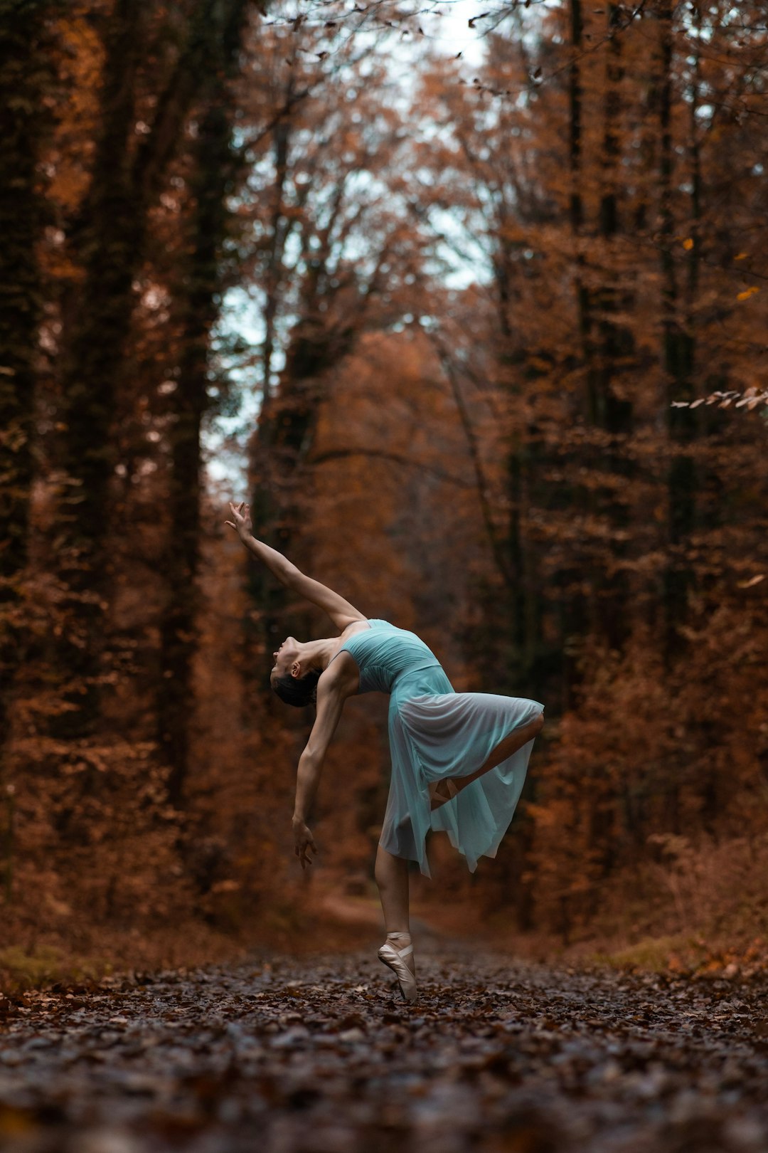 Where to Learn Lindy Hop in Shamrock Lakes City (5 Studios Worth Your Time)