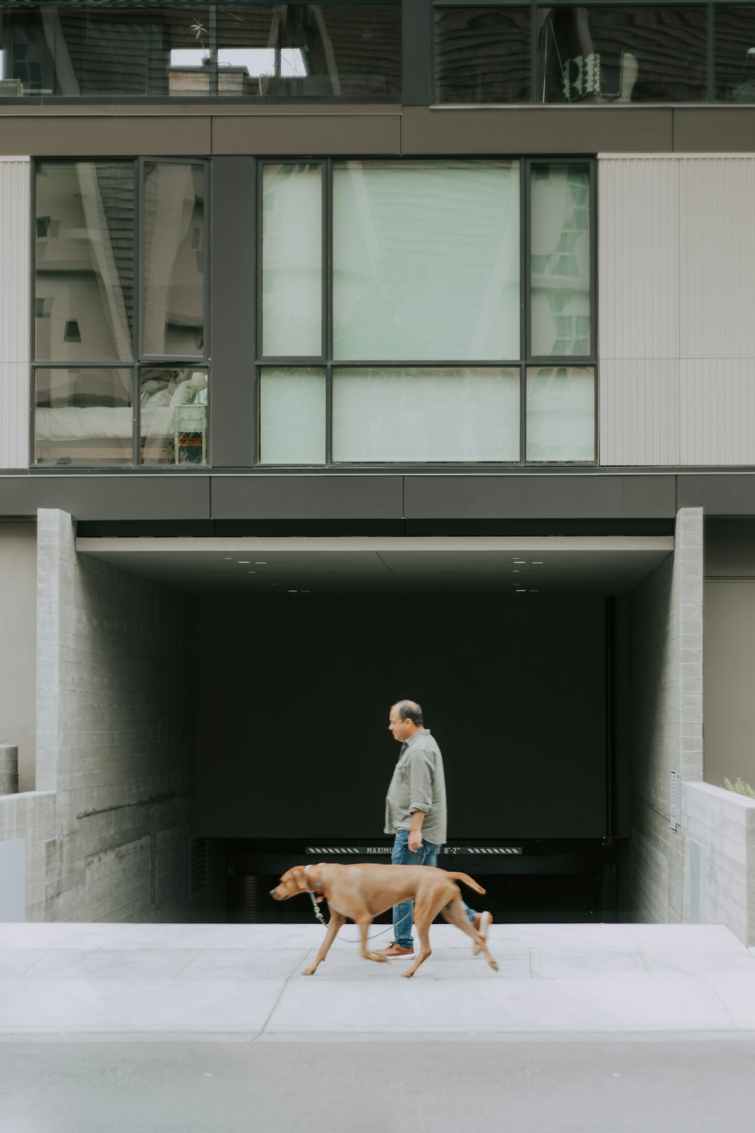 3 Top Lyrical Dance Studios in Lake St. Louis That'll Make You Feel Something