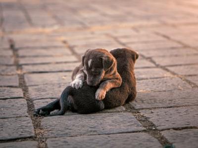 **Cypher Ready: 10 Must-Have Breaks for Battles**