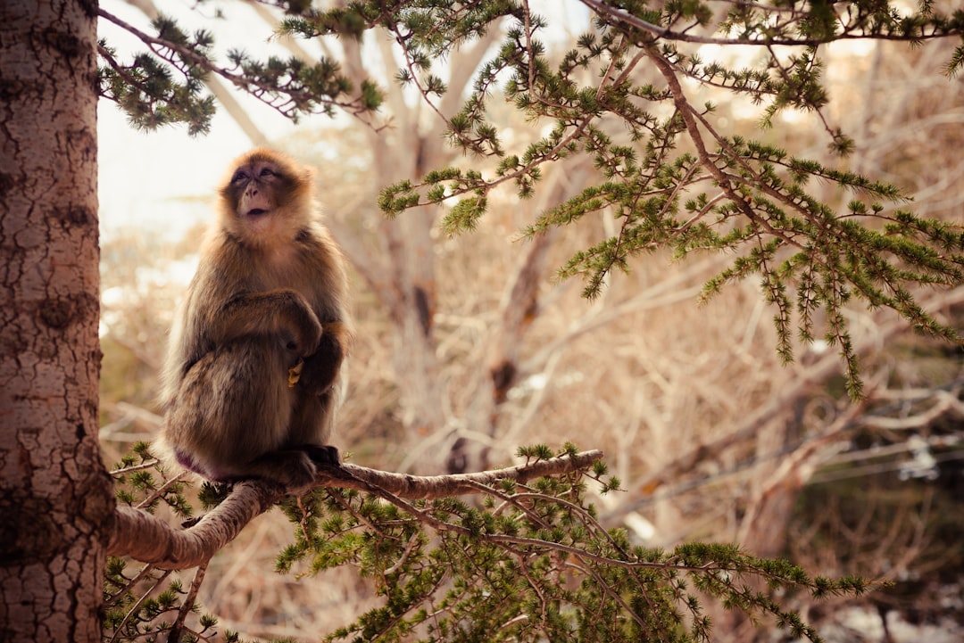 From Studio to Stage: The Real Roadmap to Becoming a Professional Jazz Dancer