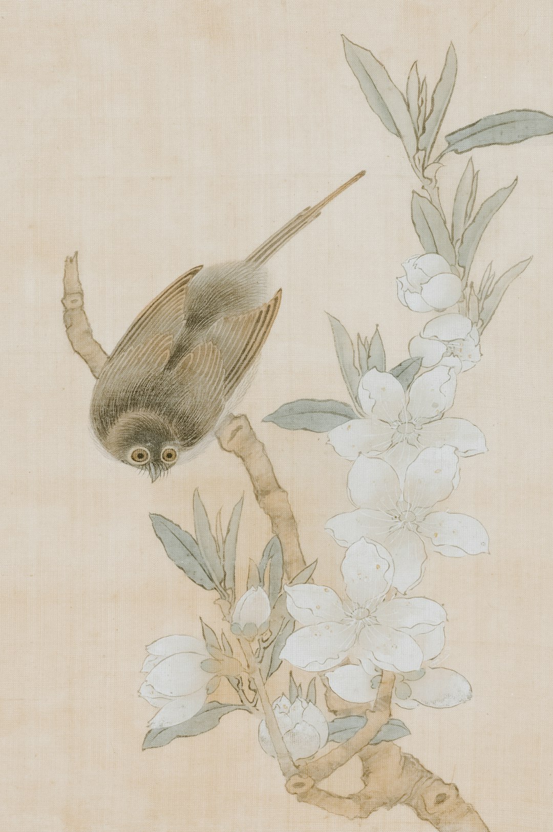 **"Level Up Your Square Dance Skills: Advanced Moves & Strategies"**