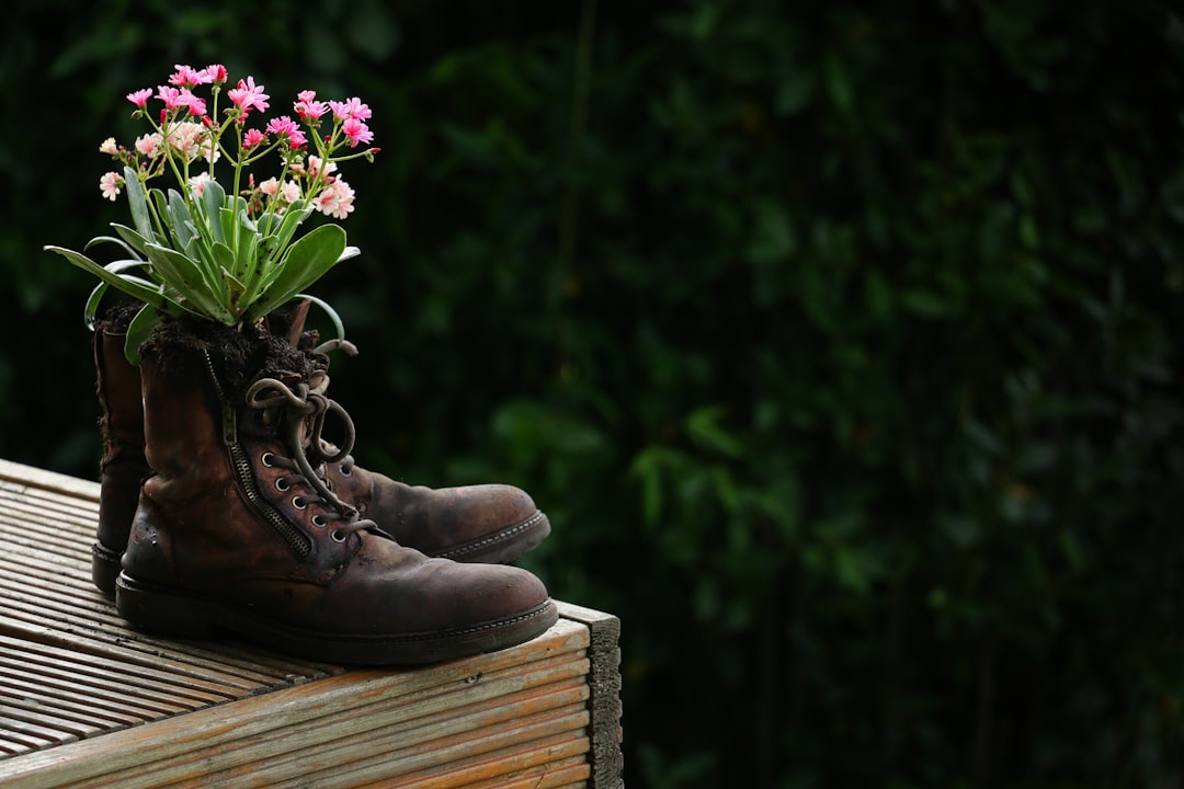 Feis-Proof Your Body: An Irish Dancer's Guide to Dodging Injury