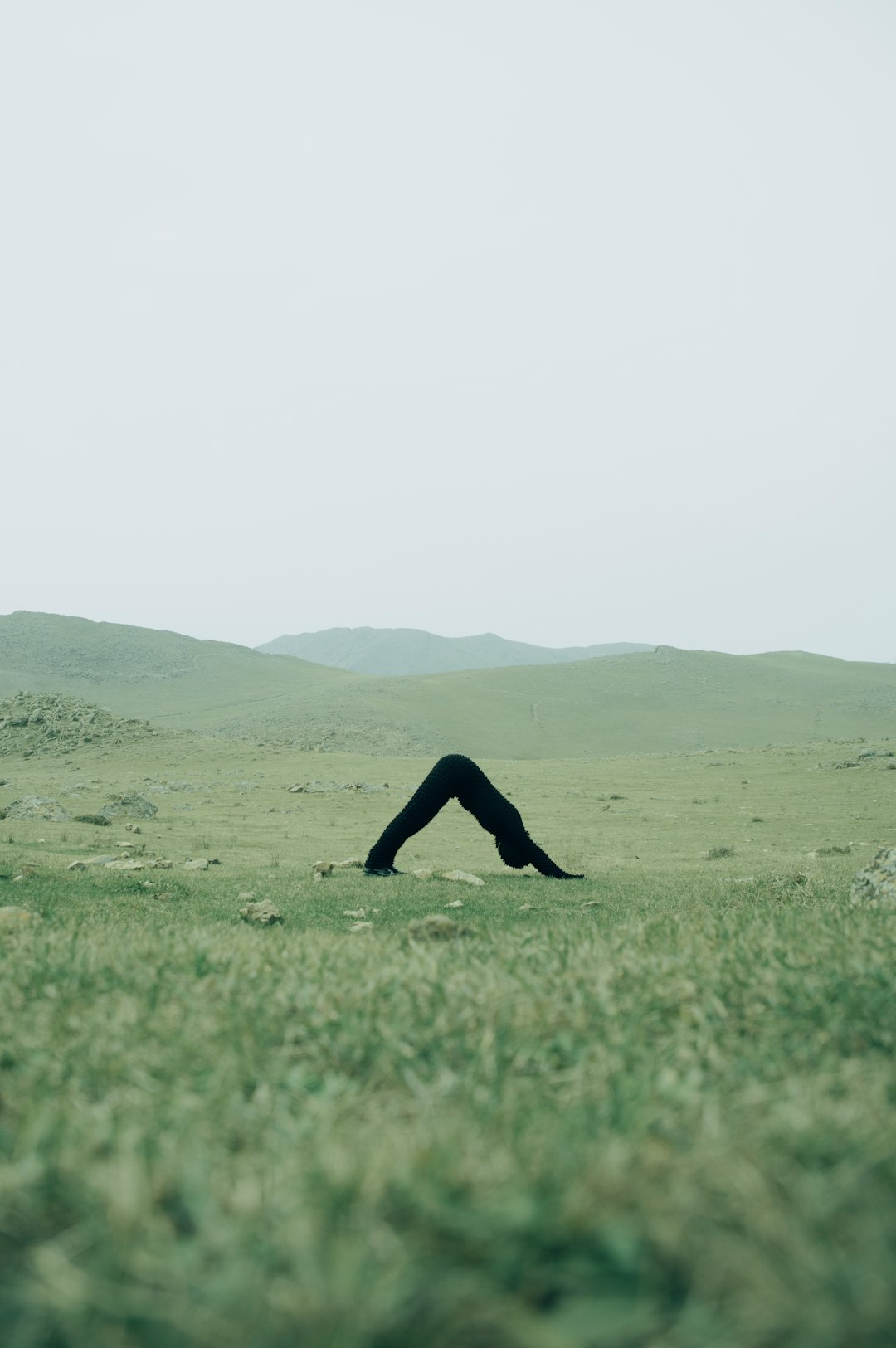 "Top Dance Training Institutions in Toa Baja City: A Comprehensive Guide"