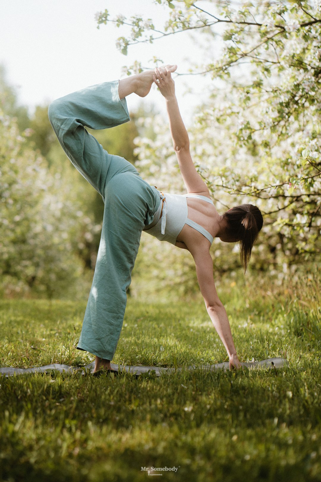 From Intermediate to Advanced Latin Dance: A Structured Training Guide
