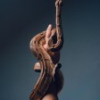 **The Intermediate Zumba Playbook: Building Stamina, Precision, and Confidence.** Unlock the secrets to longer, more pow...