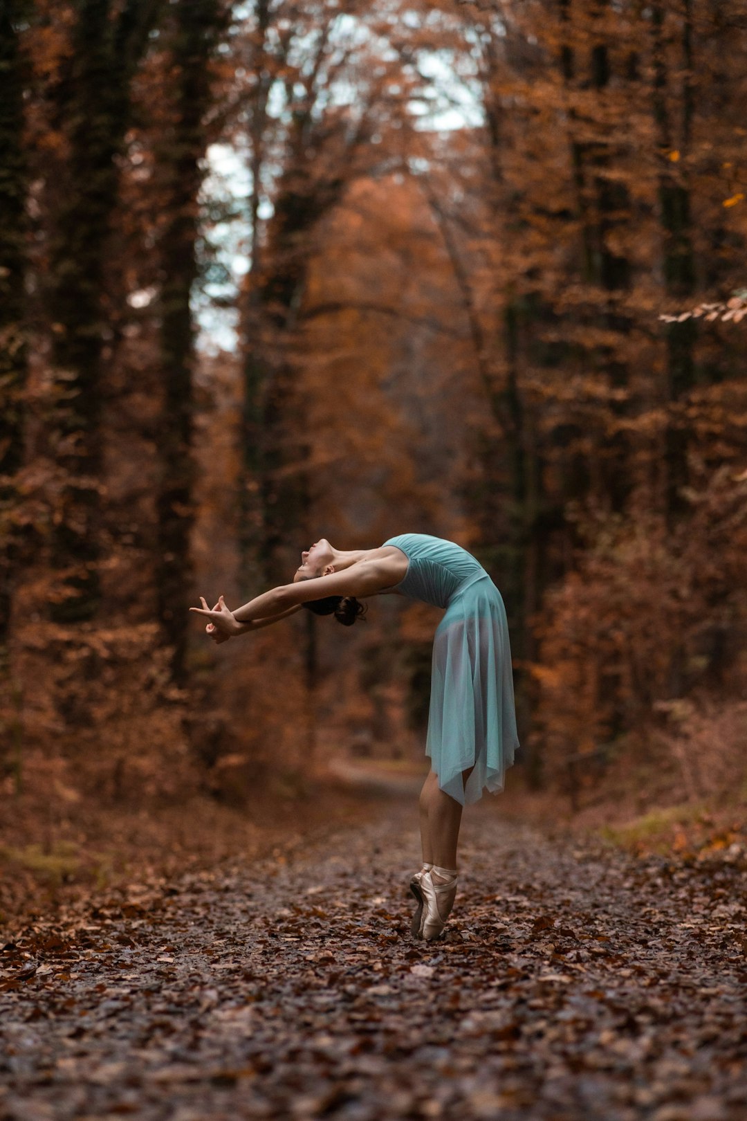From Amateur to Pro: The Real Path to a Ballroom Dance Career in 2024